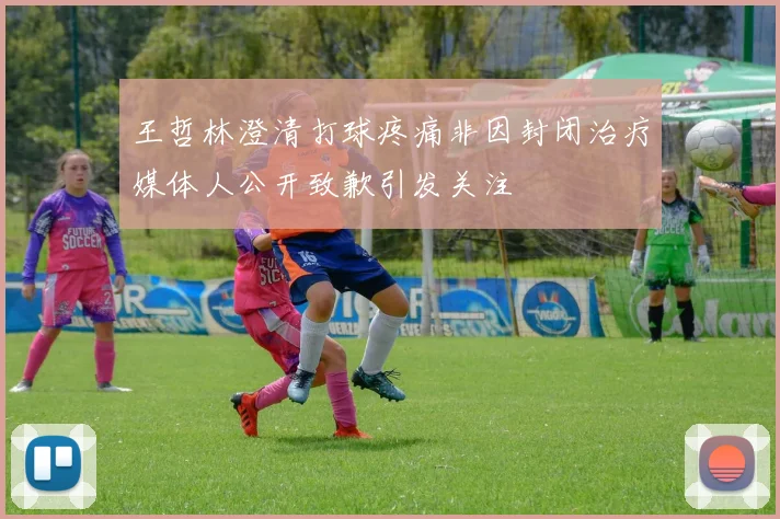 王哲林澄清打球疼痛非因封闭治疗媒体人公开致歉引发关注
