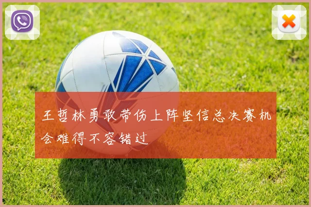 王哲林勇敢带伤上阵坚信总决赛机会难得不容错过