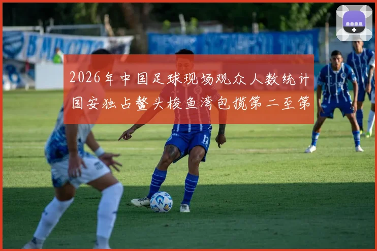 2026年中国足球现场观众人数统计国安独占鳌头梭鱼湾包揽第二至第七位